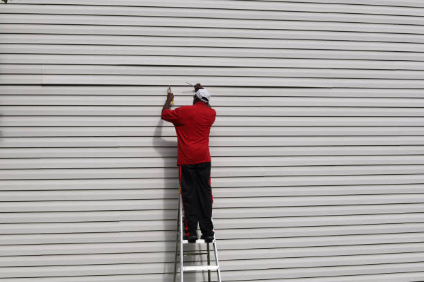 Best Residential Vinyl Siding Installation  in Petersburg, MI