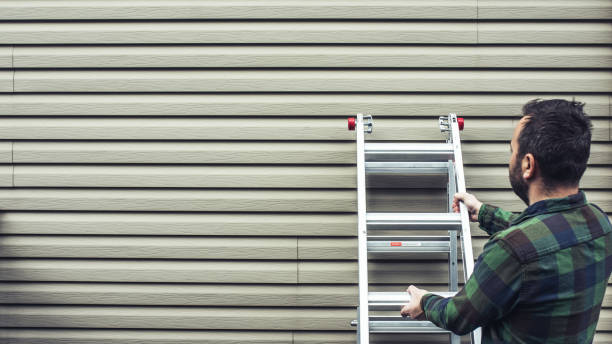 Best Composite Siding  in Petersburg, MI