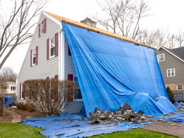 Affordable siding repair and maintenance services in Petersburg, MI