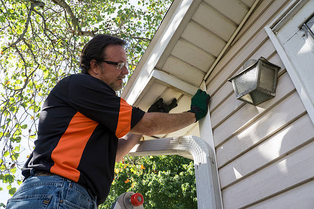 Best Siding for Multi-Family Homes  in Petersburg, MI